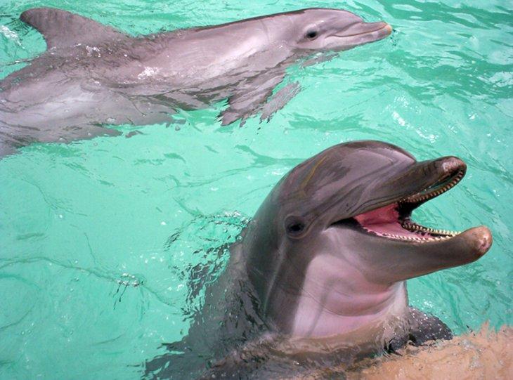 Attrazioni Turistiche in Florida