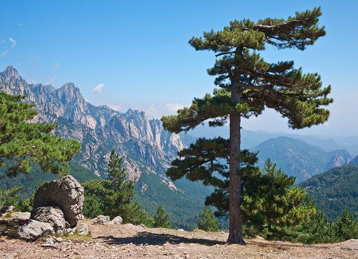 Attrazioni & Luoghi da Visitare in Corsica