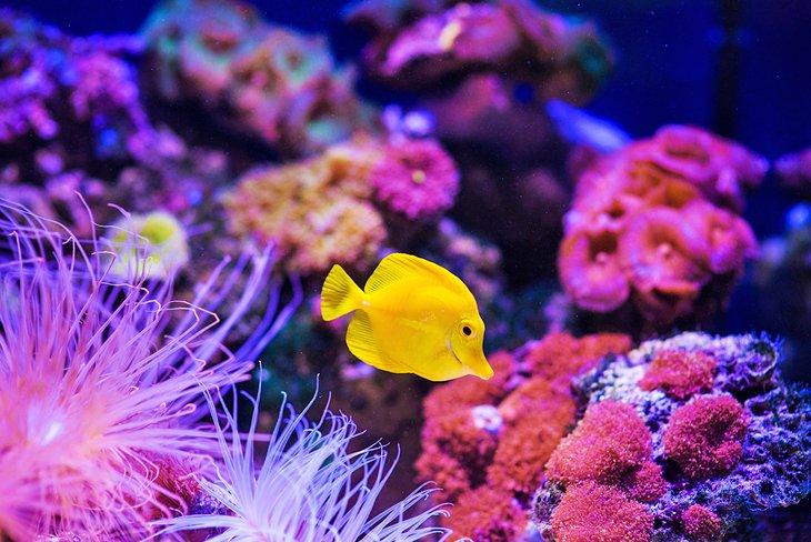 Cosas que Hacer en Hurghada