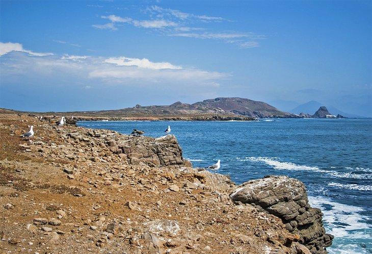 Isole Messicane