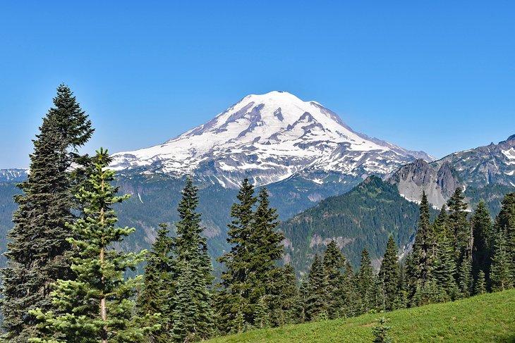 Mount Rainier visto dal sentiero Shriner Peak