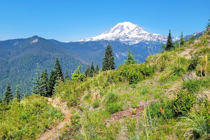 Sentiero Shriner Peak